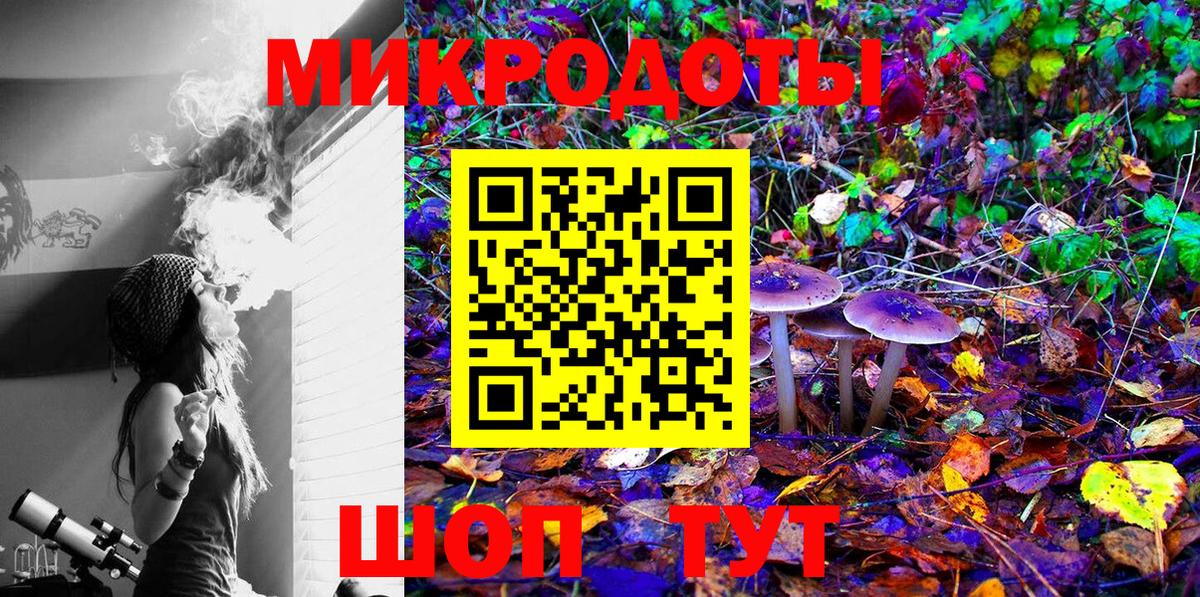 Псилоцибиновые грибы Cubensis Брянск