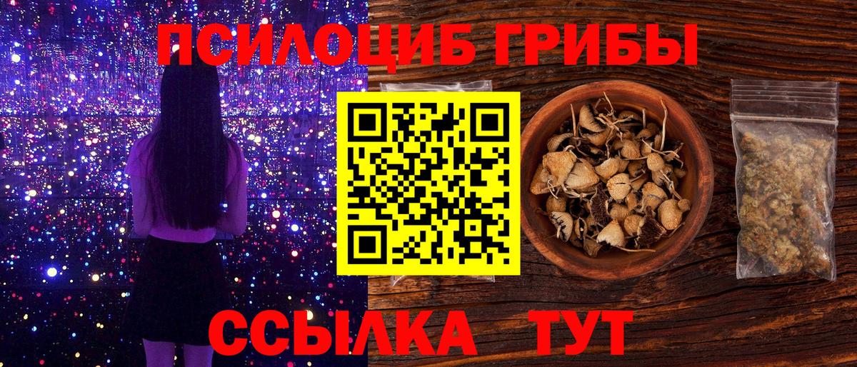 Галлюциногенные грибы Psilocybe  Вход с VPN  Брянск 