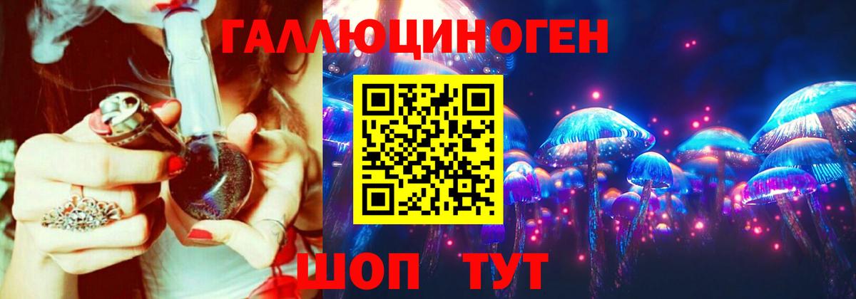 Галлюциногенные грибы Psilocybine cubensis  Брянск 